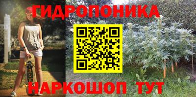 амф Севастополь