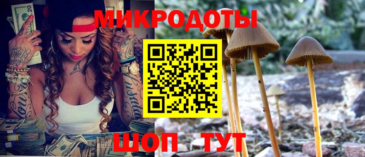 Псилоцибиновые грибы Psilocybine cubensis Рузаевка